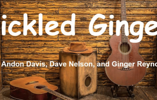 BLUES BRUNCH w PICKLED GINGER Andon Davis, Dave Nelson, and Ginger Reynolds