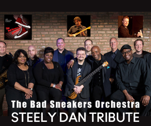 BAD SNEAKERS ORCHESTRA A Steely Dan Tribute