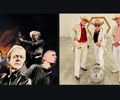 The Fleshtones The New Duncan Imperials