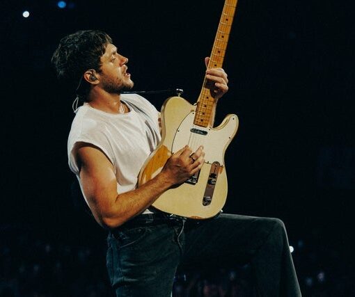Niall Horan Dinner Party Live On Tour